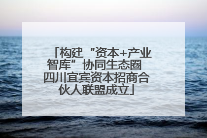 构建“资本+产业智库”协同生态圈 四川宜宾资本招商合伙人联盟成立